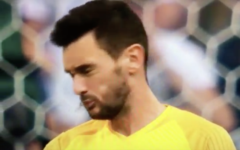 En plots krijgt Lloris het aan de stok met... vervelend insect (Video)